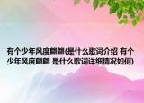 有个少年风度翩翩(是什么歌词介绍 有个少年风度翩翩 是什么歌词详细情况如何)