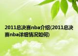 2011总决赛nba介绍(2011总决赛nba详细情况如何)