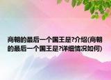 商朝的最后一个国王是?介绍(商朝的最后一个国王是?详细情况如何)