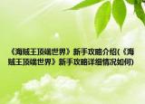 《海贼王顶端世界》新手攻略介绍(《海贼王顶端世界》新手攻略详细情况如何)