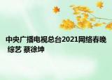 中央广播电视总台2021网络春晚 综艺 蔡徐坤