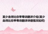 至少走得比你早粤语翻译介绍(至少走得比你早粤语翻译详细情况如何)