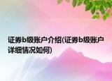 证券b级账户介绍(证券b级账户详细情况如何)