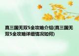 真三国无双5全攻略介绍(真三国无双5全攻略详细情况如何)