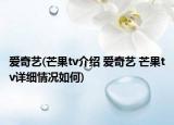 爱奇艺(芒果tv介绍 爱奇艺 芒果tv详细情况如何)