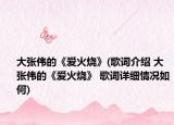 大张伟的《爱火烧》(歌词介绍 大张伟的《爱火烧》 歌词详细情况如何)