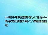 dnf枪手龙跃武器外观\