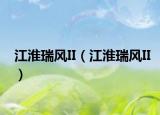 江淮瑞风II（江淮瑞风II）