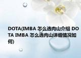 DOTA(IMBA 怎么选肉山介绍 DOTA IMBA 怎么选肉山详细情况如何)