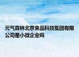 元气森林北京食品科技集团有限公司是小微企业吗