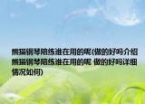 熊猫钢琴陪练谁在用的呢(做的好吗介绍 熊猫钢琴陪练谁在用的呢 做的好吗详细情况如何)