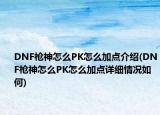 DNF枪神怎么PK怎么加点介绍(DNF枪神怎么PK怎么加点详细情况如何)