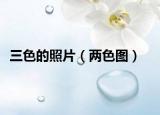 三色的照片（两色图）