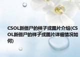 CSOL新僵尸的样子或图片介绍(CSOL新僵尸的样子或图片详细情况如何)