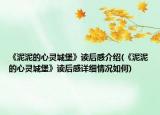 《泥泥的心灵城堡》读后感介绍(《泥泥的心灵城堡》读后感详细情况如何)