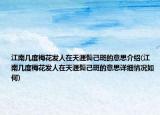 江南几度梅花发人在天涯鬓己斑的意思介绍(江南几度梅花发人在天涯鬓己斑的意思详细情况如何)
