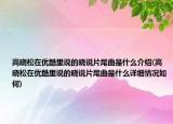高晓松在优酷里说的晓说片尾曲是什么介绍(高晓松在优酷里说的晓说片尾曲是什么详细情况如何)