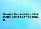 鄂尔多斯市金融办主任边子珍（孟军 鄂尔多斯市人民政府金融工作办公室原副主任）