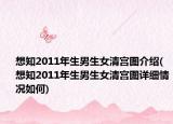想知2011年生男生女清宫图介绍(想知2011年生男生女清宫图详细情况如何)