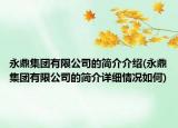 永鼎集团有限公司的简介介绍(永鼎集团有限公司的简介详细情况如何)