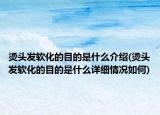 烫头发软化的目的是什么介绍(烫头发软化的目的是什么详细情况如何)