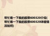 帮忙看一下我的股票600320介绍(帮忙看一下我的股票600320详细情况如何)
