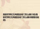 我的世界红石电路自动门怎么做介绍(我的世界红石电路自动门怎么做详细情况如何)