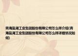 青海盐湖工业集团股份有限公司怎么样介绍(青海盐湖工业集团股份有限公司怎么样详细情况如何)