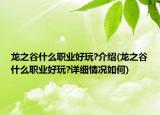龙之谷什么职业好玩?介绍(龙之谷什么职业好玩?详细情况如何)