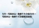 九牛一毛和冰山一角哪个大介绍(九牛一毛和冰山一角哪个大详细情况如何)