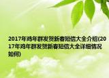 2017年鸡年群发贺新春短信大全介绍(2017年鸡年群发贺新春短信大全详细情况如何)
