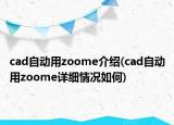 cad自动用zoome介绍(cad自动用zoome详细情况如何)