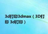 3d打印3dmax（3D打印 3d打印）