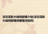 深宫谍影大结局剧情介绍(深宫谍影大结局剧情详细情况如何)