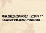 电视连续剧红高粱简介（红高粱 2014年郑晓龙执导周迅主演电视剧）
