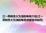 江一燕和佟大为演的电视介绍(江一燕和佟大为演的电视详细情况如何)