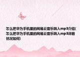 怎么把华为手机里的网易云音乐转入mp3介绍(怎么把华为手机里的网易云音乐转入mp3详细情况如何)