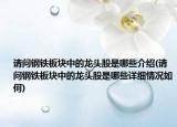 请问钢铁板块中的龙头股是哪些介绍(请问钢铁板块中的龙头股是哪些详细情况如何)