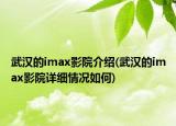 武汉的imax影院介绍(武汉的imax影院详细情况如何)