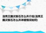 洛克王国灵猴石怎么弄介绍(洛克王国灵猴石怎么弄详细情况如何)