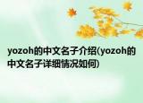 yozoh的中文名子介绍(yozoh的中文名子详细情况如何)