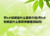齐b小短裙是什么意思介绍(齐b小短裙是什么意思详细情况如何)