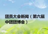 团员大会新闻（第六届中团团博会）