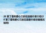 20 紫丁香和素心兰的花语是什麽介绍(20 紫丁香和素心兰的花语是什麽详细情况如何)