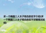 求一个韩国三人女子组合的名字介绍(求一个韩国三人女子组合的名字详细情况如何)