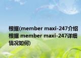 根据(member maxi-247介绍 根据 member maxi-247详细情况如何)