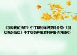 《别动我的抽屉》中丁玥的详细资料介绍(《别动我的抽屉》中丁玥的详细资料详细情况如何)