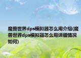 魔兽世界dps模拟器怎么用介绍(魔兽世界dps模拟器怎么用详细情况如何)