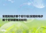 安踏和特步那个好介绍(安踏和特步那个好详细情况如何)