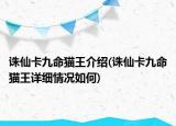 诛仙卡九命猫王介绍(诛仙卡九命猫王详细情况如何)